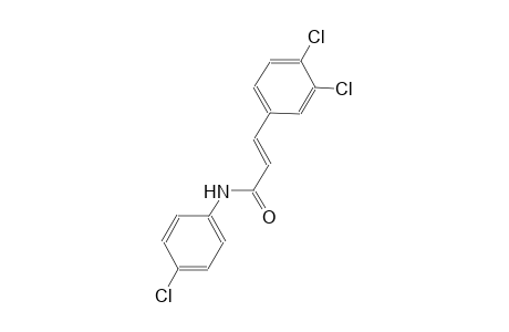 (2E)-N-(4-chlorophenyl)-3-(3,4-dichlorophenyl)-2-propenamide