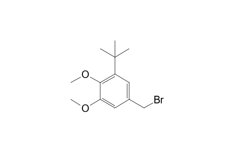 5-Bromomethyl-3-tert-butyl-1,2-dimethoxybenzene