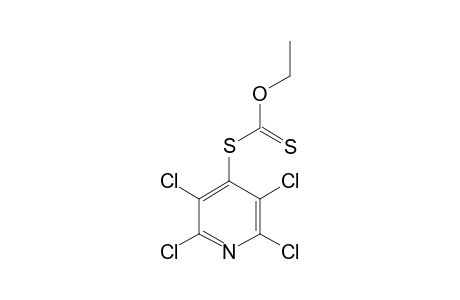 S-(2,3,5,6-TETRACHLORO-4-PYRIDYL)-ETHYLXANTHATE