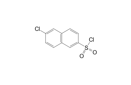 2-Naphthalenesulfonyl chloride, 6-chloro-