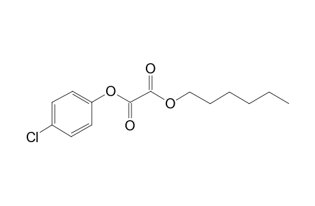 Oxalic acid, 4-chlorophenyl hexyl ester