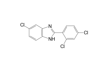 5-chloro-2-(2,4-dichlorophenyl)benzimidazole