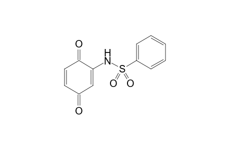 N-(3,6-dioxo-1,4-cyclo-hexadien-1-yl)-benzenesulfonamide