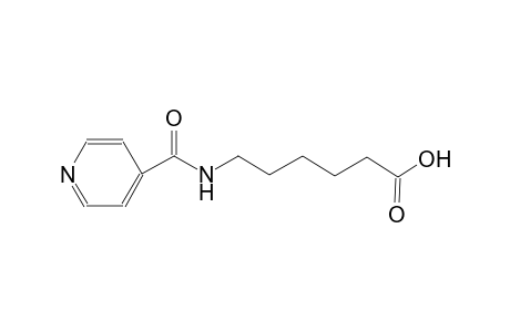 6-(isonicotinoylamino)hexanoic acid