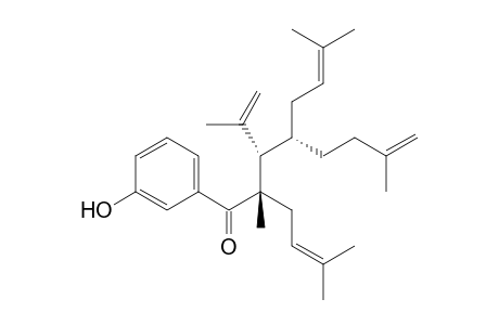 1-(3'-hydroxyphenyl)-3-isopropenyl-2.beta.,7-dimethyl-2,4-di(3-methylbut-2-enyl)oct-7-en-1-one