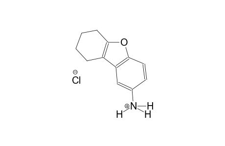 dibenzo[b,d]furan-2-aminium, 6,7,8,9-tetrahydro-, chloride