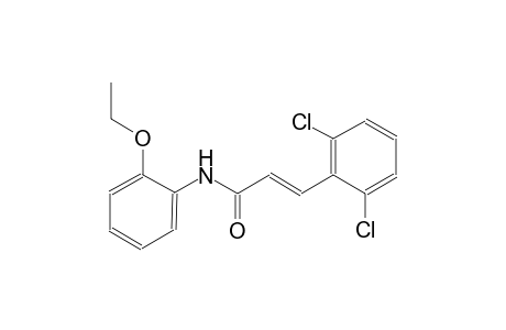(2E)-3-(2,6-dichlorophenyl)-N-(2-ethoxyphenyl)-2-propenamide