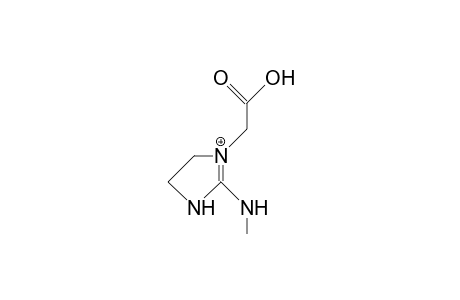 1-Carboxymethyl-2-methylamino-imidazolidine cation