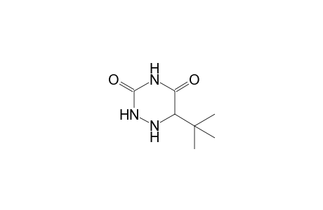 4-tert-Butyl-5,6-dehydro-6-azauracil