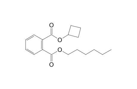 Phthalic acid, cyclobutyl hexyl ester