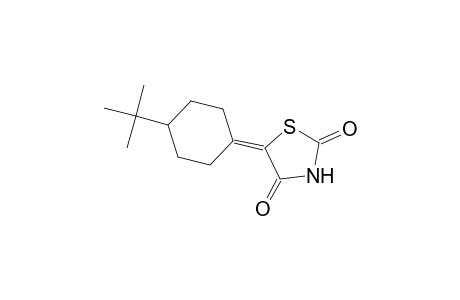 5-(4-tert-butylcyclohexylidene)-1,3-thiazolidine-2,4-dione