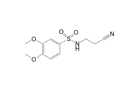 N-(2-Cyanoethyl)-3,4-dimethoxybenzenesulfonamide