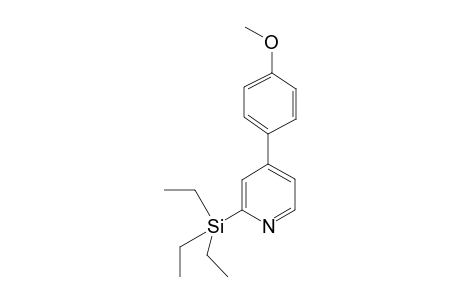 4-(4-methoxyphenyl)-2-(triethylsilyl)pyridine