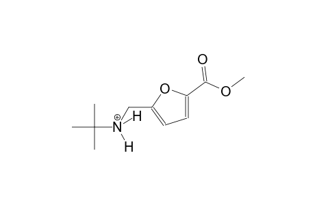 N-{[5-(methoxycarbonyl)-2-furyl]methyl}-2-methyl-2-propanaminium