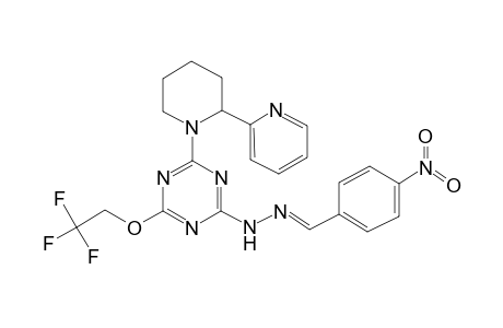 N-[(E)-(4-nitrophenyl)methyleneamino]-4-[2-(2-pyridyl)-1-piperidyl]-6-(2,2,2-trifluoroethoxy)-1,3,5-triazin-2-amine