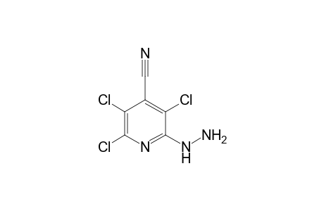 2,3,5-Trichloro-6-hydrazinoisonicotinonitrile