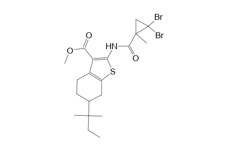 methyl 2-{[(2,2-dibromo-1-methylcyclopropyl)carbonyl]amino}-6-tert-pentyl-4,5,6,7-tetrahydro-1-benzothiophene-3-carboxylate