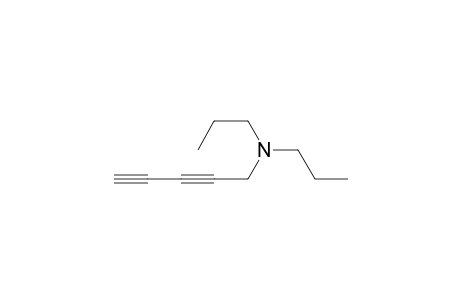 N,N-dipropyl-1-penta-2,4-diynamine