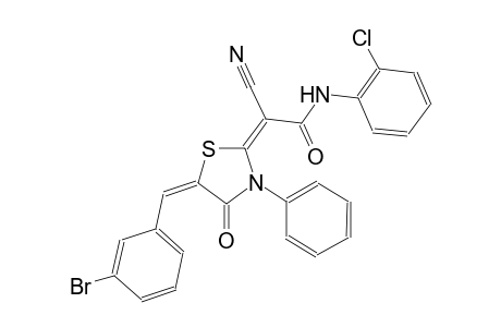(2E)-2-[(5E)-5-(3-bromobenzylidene)-4-oxo-3-phenyl-1,3-thiazolidin-2-ylidene]-N-(2-chlorophenyl)-2-cyanoethanamide