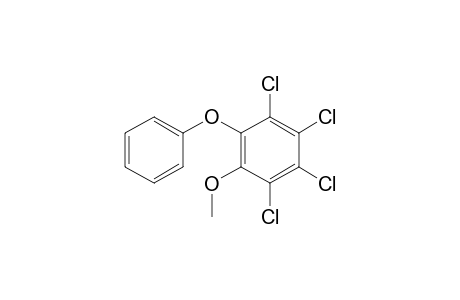 1,2,3,4-tetrachloro-5-methoxy-6-phenoxy-benzene