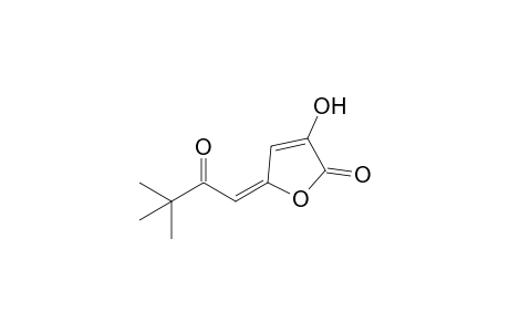 3-Hydroxy-5-(t-butylcarbonylmethylene)-5H-furan-2-one