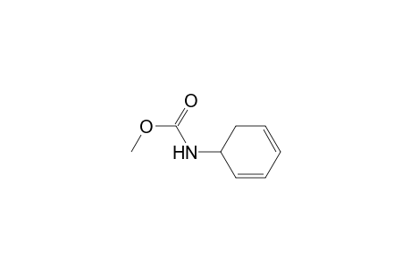 (+-)-5-((Methoxycarbonyl)amino)-1,3-cyclohexadiene