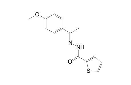 N'-[(E)-1-(4-methoxyphenyl)ethylidene]-2-thiophenecarbohydrazide