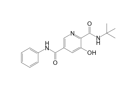2-N-tert-butyl-3-hydroxy-5-N-phenylpyridine-2,5-dicarboxamide