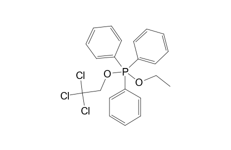 PHOSPHORANE-#2/5