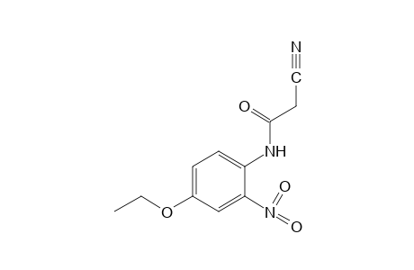 2-CYANO-2'-NITRO-p-ACETOPHENETIDIDE