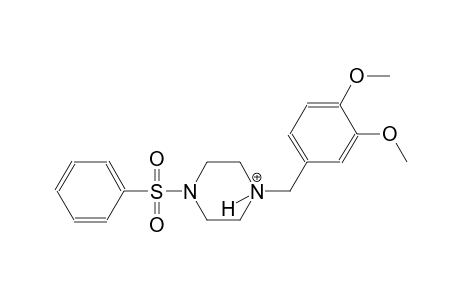 1-(3,4-dimethoxybenzyl)-4-(phenylsulfonyl)piperazin-1-ium