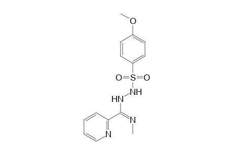 N-(4-methoxyphenylsulfonamido)-N1 methylpicolinamidine