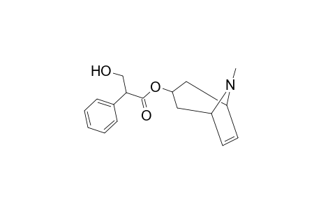 Benzeneacetic acid, .alpha.-(hydroxymethyl)-, 8-methyl-8-azabicyclo[3.2.1]oct-6-en-3-yl ester