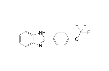 2-[4-(trifluoromethoxy)phenyl]-1H-benzimidazole