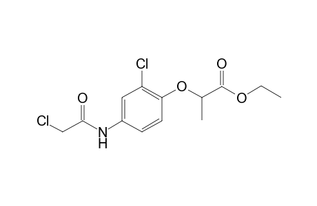 Propanoic acid, 2-(2-chloro-4-chloroacetamidophenoxy)-, ethyl ester