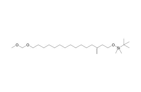 tert-butyl-[15-(methoxymethoxy)-3-methylene-pentadecoxy]-dimethyl-silane