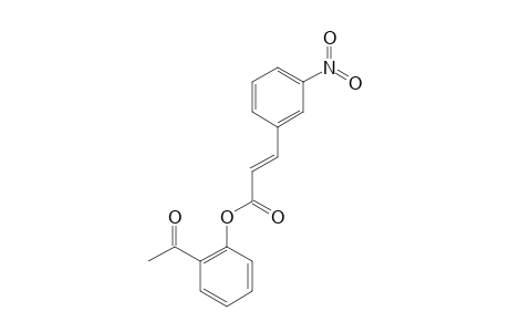 2'-(3-NITROCYNNAMOYLOXY)-ACETOPHENONE