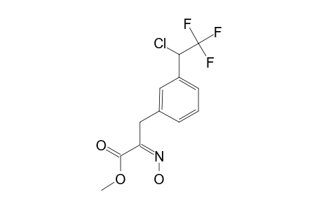 Methyl 3-[3-(1-Chloro-2,2,2-trifluoroethyl)phenyl]-2-(hydroxyimino)propanoate