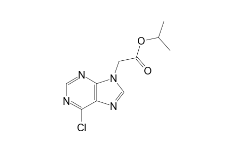 6-CHLORO-9-(ISO-PROPOXYCARBONYLMETHYL)-PURINE