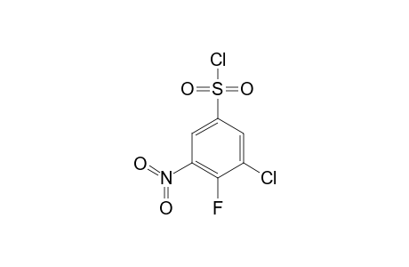 3-CHLORO-5-CHLOROSULFONYL-2-FLUORO-NITROBENZENE