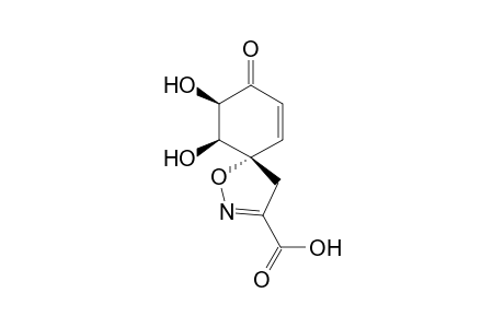 5',6'-Dihydroxyspiro[4,5-diisoxazole-5,1'-cyclohex-2'-en-4'-one]-2'-carboxylic acid