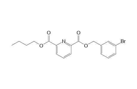2,6-Pyridinedicarboxylic acid, 3-bromobenzyl butyl ester