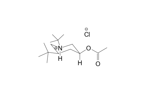 piperidinium, 3-(acetyloxy)-1,5-bis(1,1-dimethylethyl)-, chloride