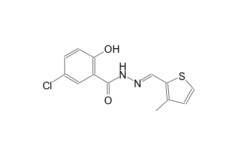 5-chloro-2-hydroxy-N'-[(E)-(3-methyl-2-thienyl)methylidene]benzohydrazide