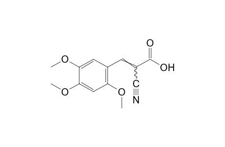 alpha-cyano-2,4,5-trimethoxycinnamic acid