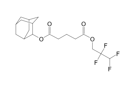 Glutaric acid, adamant-2-yl 2,2,3,3-tetrafluoropropyl ester