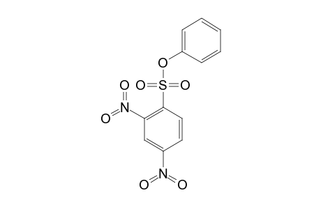 PHENYL-2,4-DINITROBENZENESULFONATE