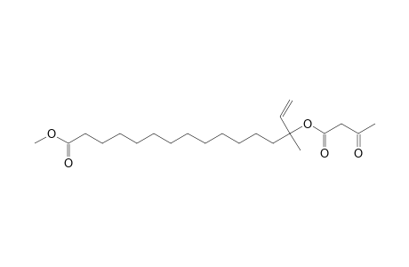 14-Methyl-14-(3-oxobutyryloxy)-hexadec-15-enoic acid, methyl ester