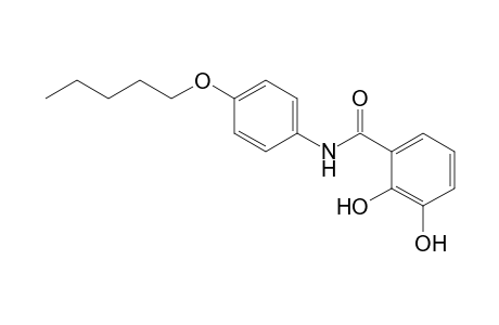 Benzamide, 2,3-dihydroxy-N-[4-(pentyloxy)phenyl]-