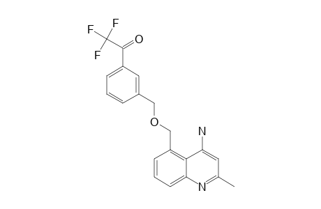 4-AMINO-2-METHYL-3-(3-TRIFLUOROACETYLBENZYLOXYMETHYL)-QUINOLINE;FREE-KETONE